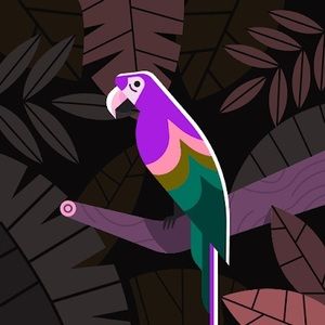 Meet your Posher, Hayden